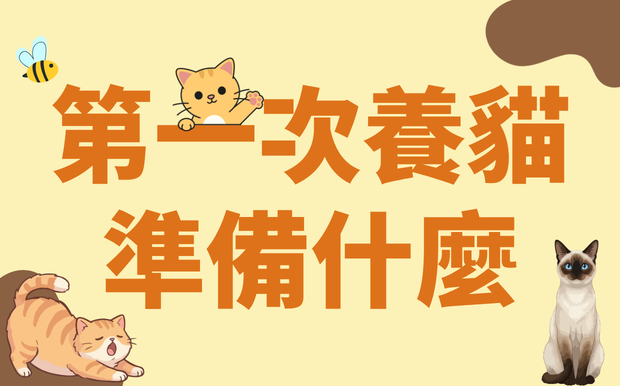 新手養貓必看：第一次養貓需要準備什麼