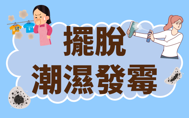 擺脫潮濕發霉！居家乾爽秘訣大公開
