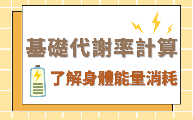 基礎代謝率計算：了解身體能量消耗