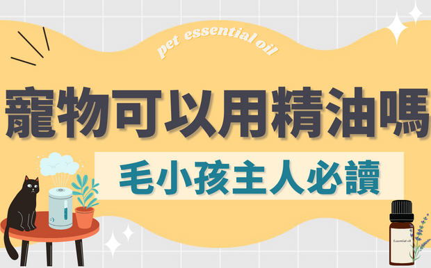貓狗可以用精油或加濕器嗎？貓奴狗僕們必看