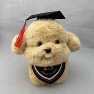 嶺南大學持續進修學院