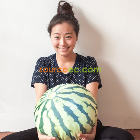 客製化西瓜抱枕禮品