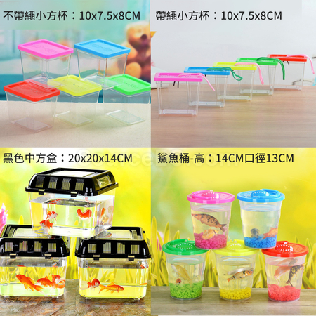 客製化塑膠烏龜缸金魚缸禮品