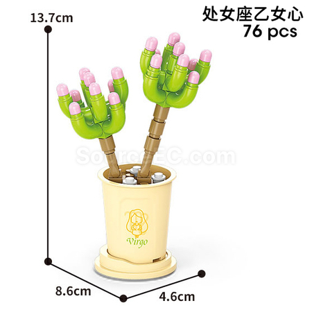 客製化咖啡杯植物系列積木-12星座多肉植物系列禮品