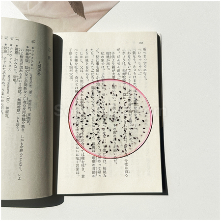 客製化半透壓克力水果書籤禮品