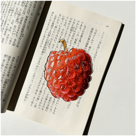 客製化半透壓克力水果書籤禮品