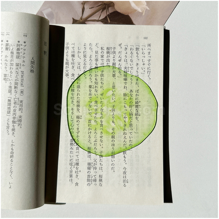 客製化半透壓克力水果書籤禮品