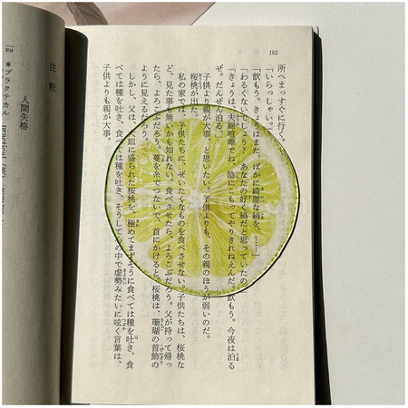 客製化半透壓克力水果書籤禮品