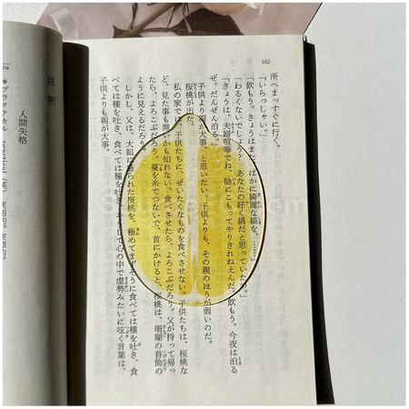 客製化半透壓克力水果書籤禮品