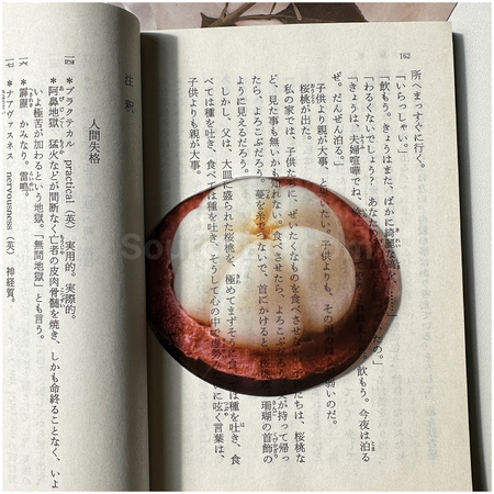 客製化半透壓克力水果書籤禮品