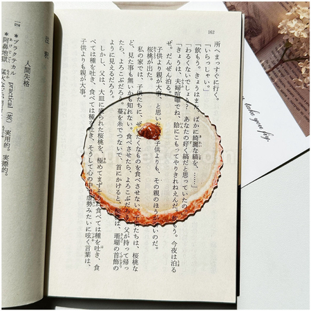 客製化半透壓克力水果書籤禮品