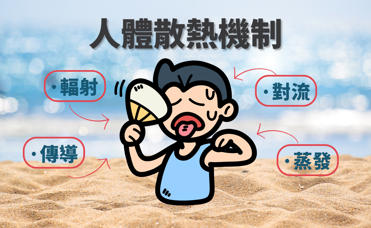 涼感小物推薦