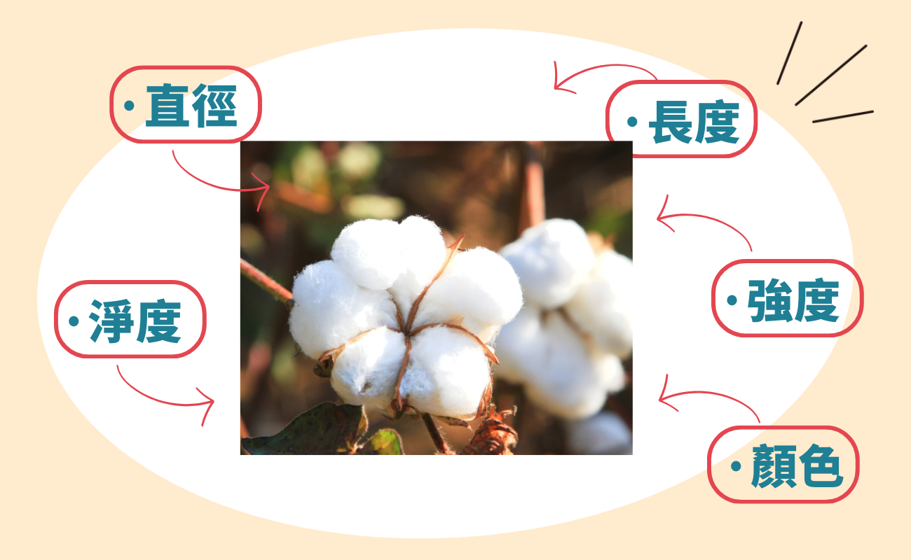 棉花等級