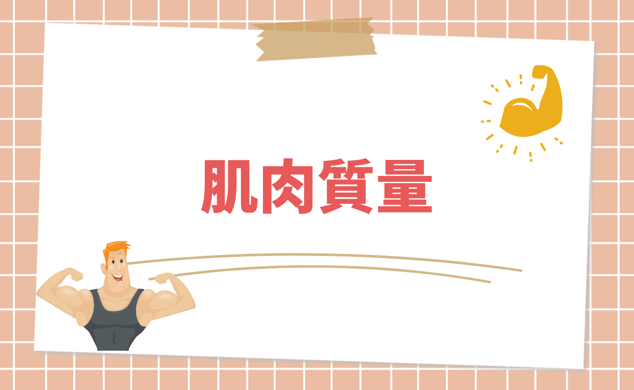 肌肉質量